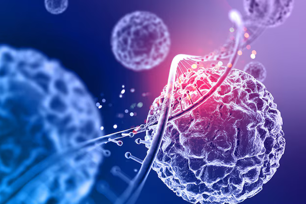 blog Fakta-Fakta Penting Tentang Stem Cell Therapy dan PRP yang Perlu Anda Tahu