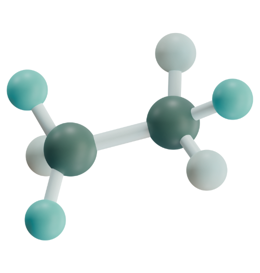 ABOUT US (25) ABOUT US (25)