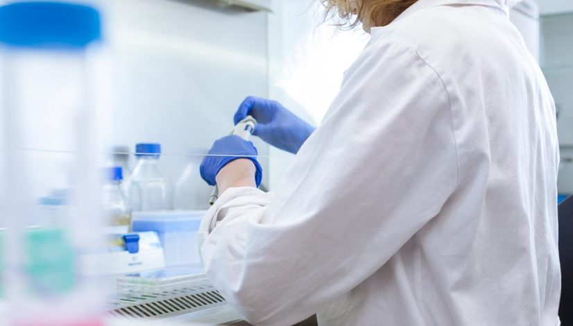 Stem Cell Autologous