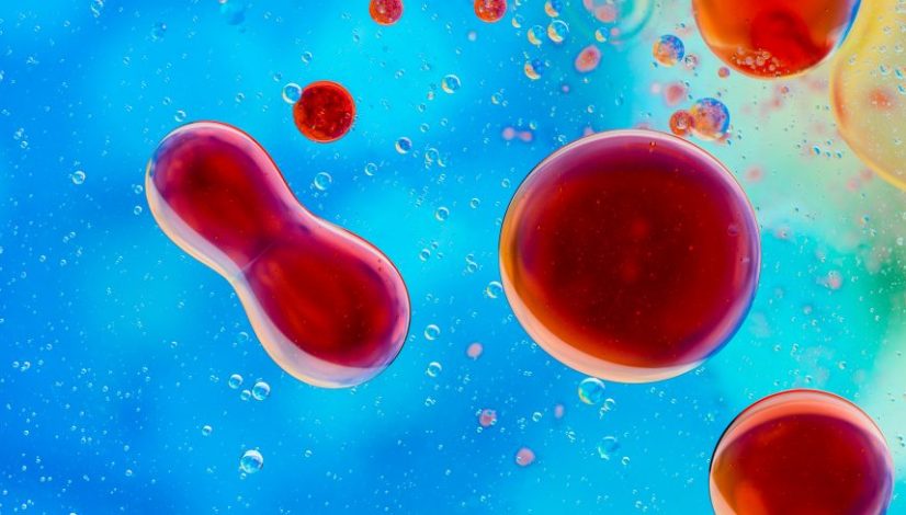 stem cell inflamasi lavalen medica