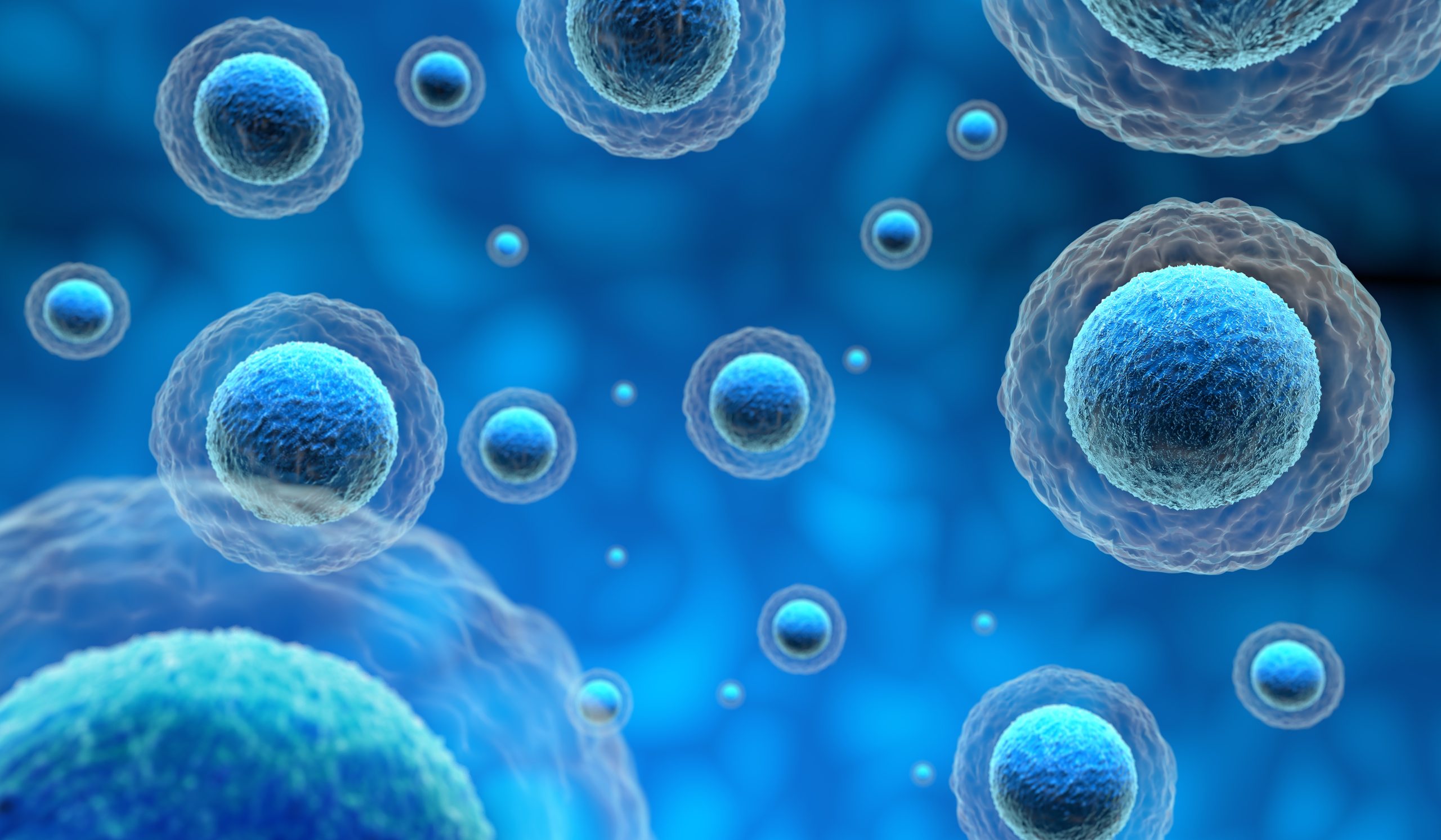 keamanan stem cell lavalen medica