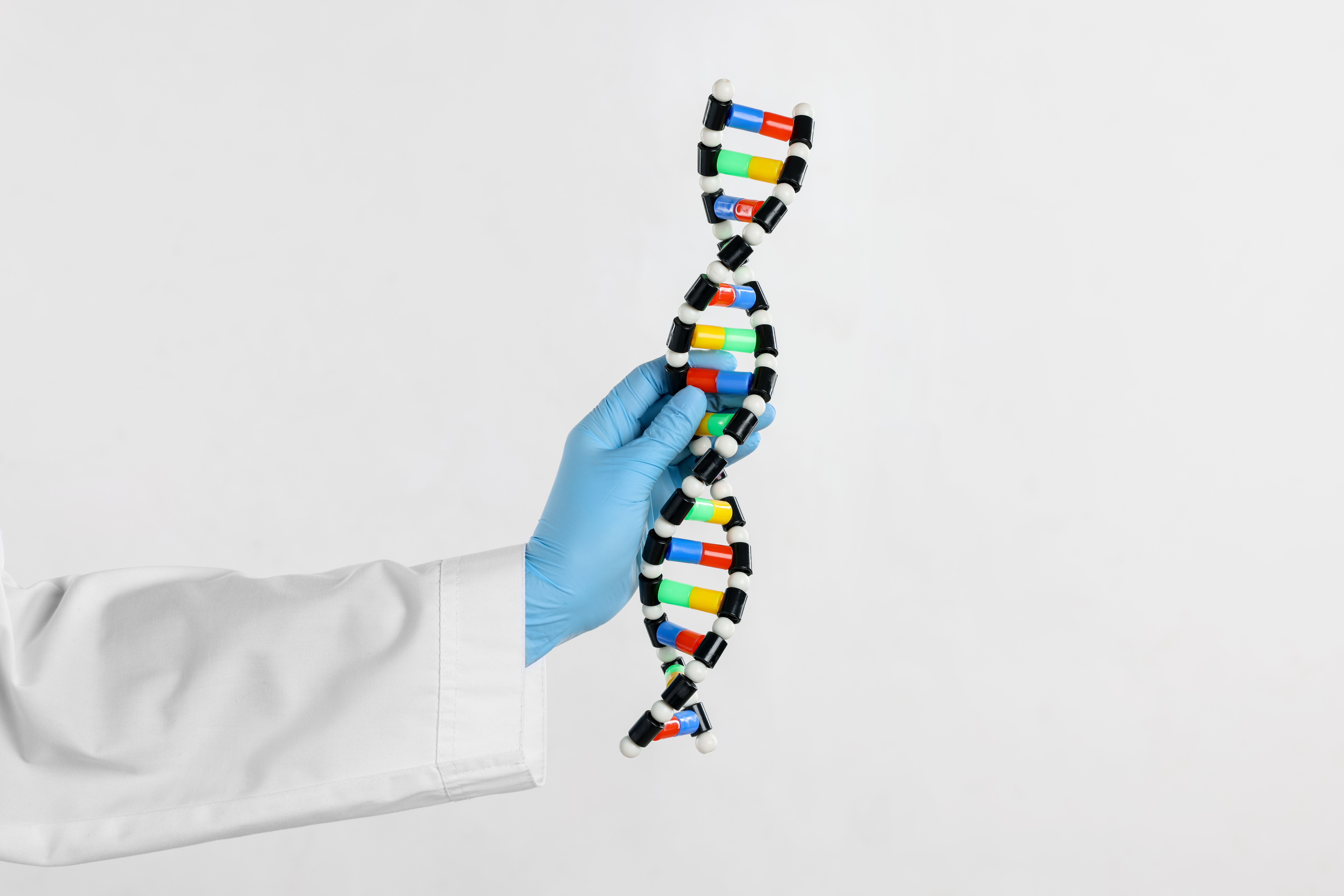 Scientist holding DNA structure model on white background, close