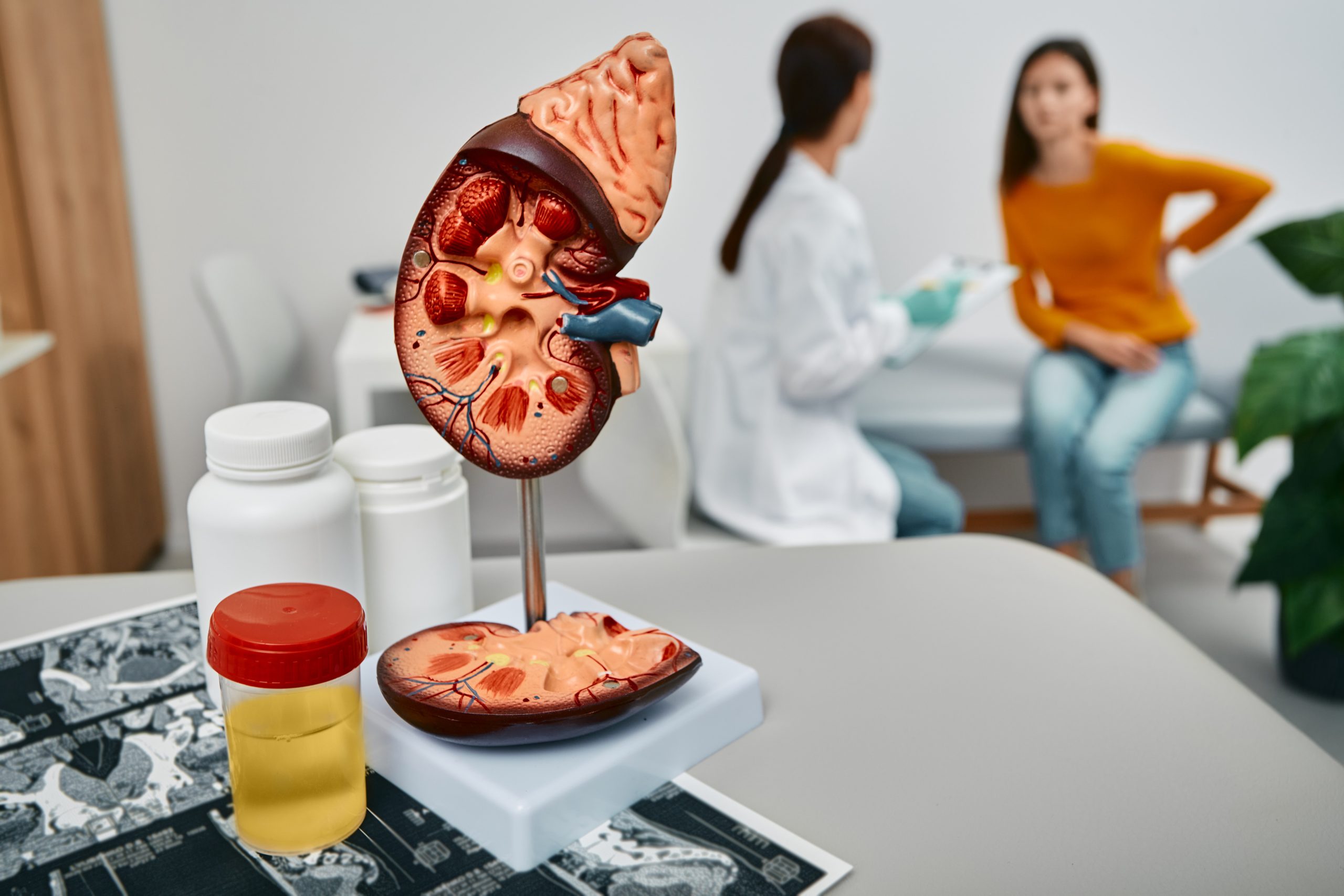 stem cell liver lavalen medica