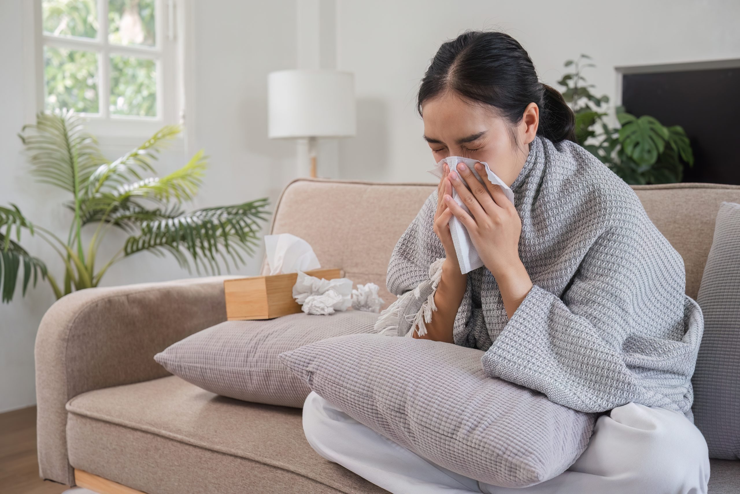 Woman Feeling Sick at Home, Wrapped in Blanket, Blowing Nose with Tissue, Sitting on Couch in Living Room