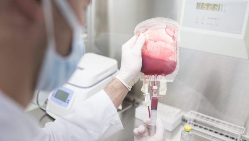 autologous stem cell di lavalen medica