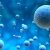 stem cell vs obat konvensional di lavalen medica