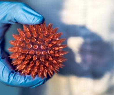 wabah hantavirus, penanganan di lavalen medica