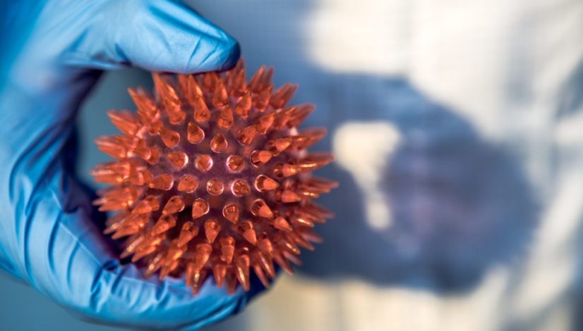 wabah hantavirus, penanganan di lavalen medica