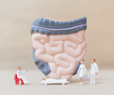 gut brain axis adalah