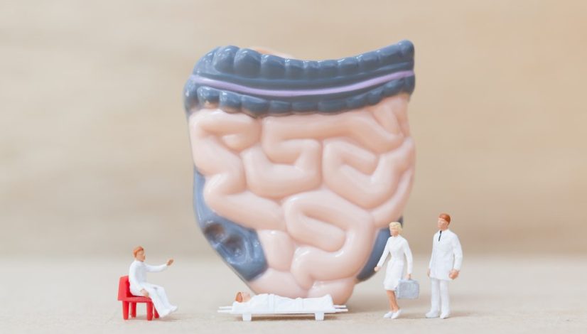 gut brain axis adalah