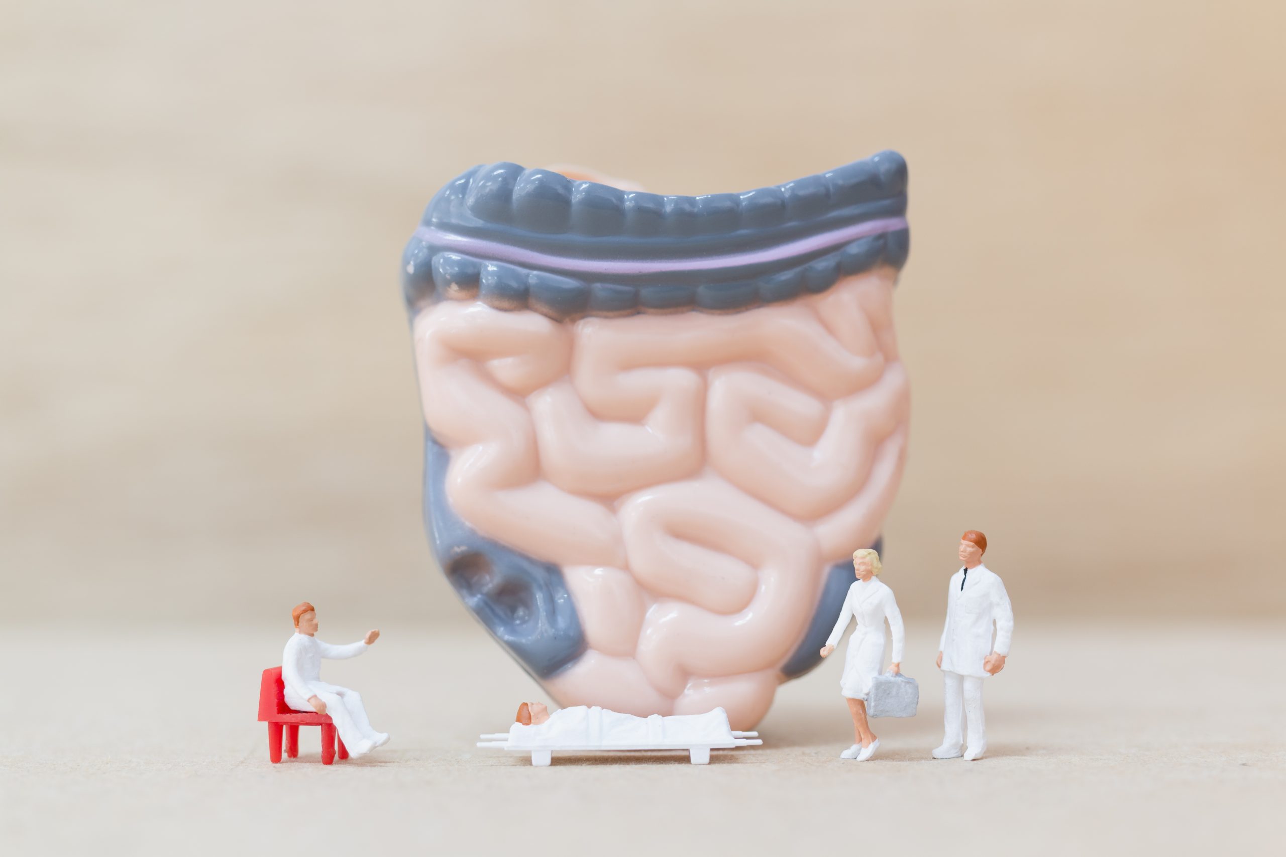 gut brain axis adalah