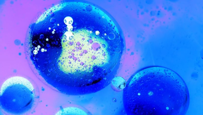 stem cell untuk kesuburan