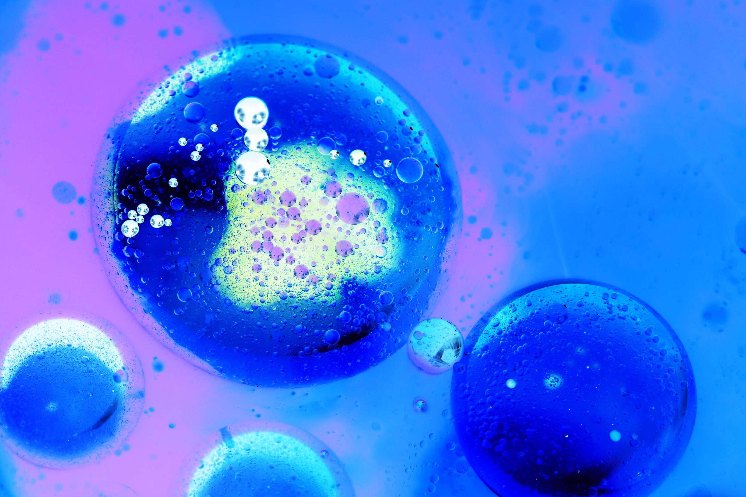 stem cell untuk kesuburan