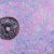 beda stem cell secretome exosome