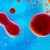 autologous stem cell adalah