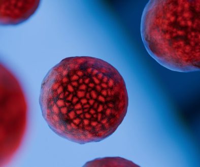 exosome update 2026