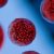 exosome update 2026