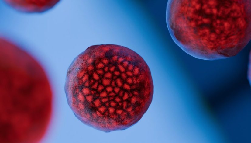exosome update 2026