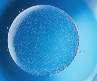 pasca sesi stem cell