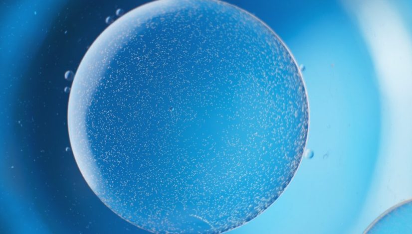 pasca sesi stem cell