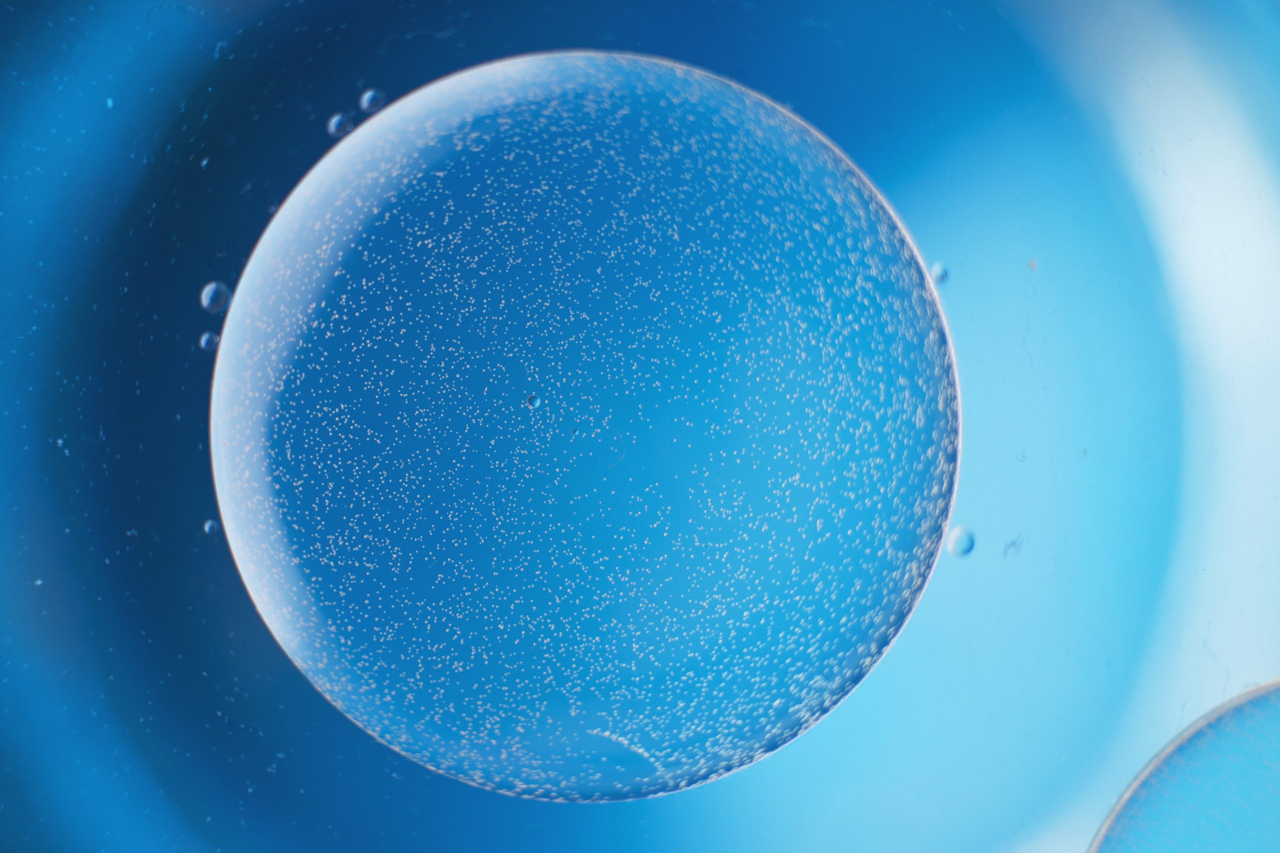 pasca sesi stem cell